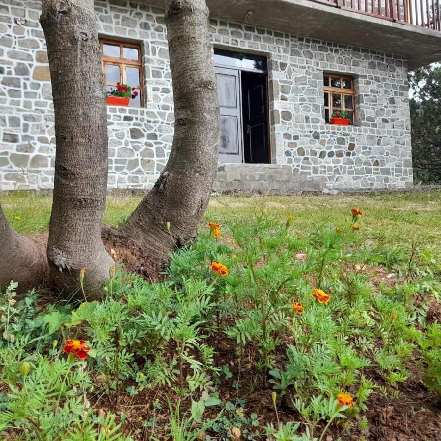 Hotel Grabova Grabove e Siperme 外观 照片